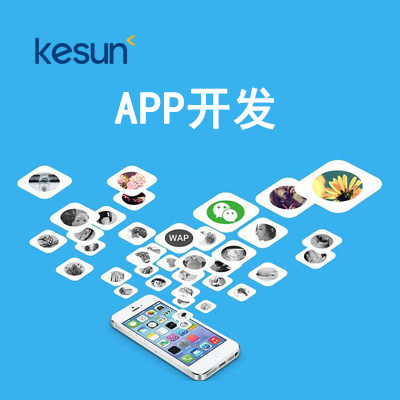 APP開發(fā)