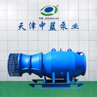 雪橇式潛水軸流泵現(xiàn)貨供應(yīng)排澇專用泵