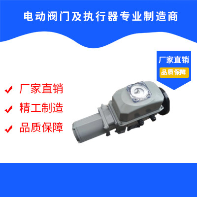 調(diào)節(jié)型電動執(zhí)行器 伯納德ASP電動執(zhí)行器 閥門電動裝置