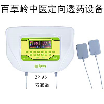中藥離子導(dǎo)入儀