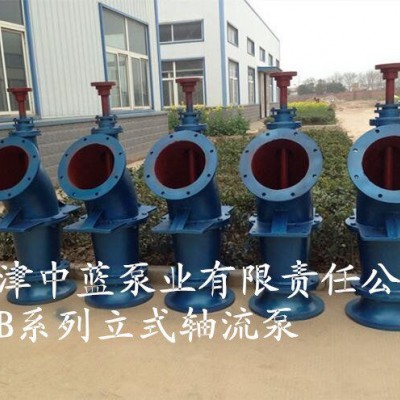 ZLB軸流泵安裝