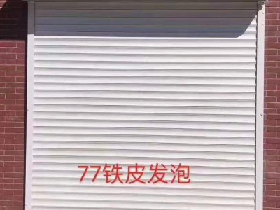 天津東麗區(qū) 供應(yīng)卷簾門 電動卷閘門 鋁合金卷簾門 防盜
