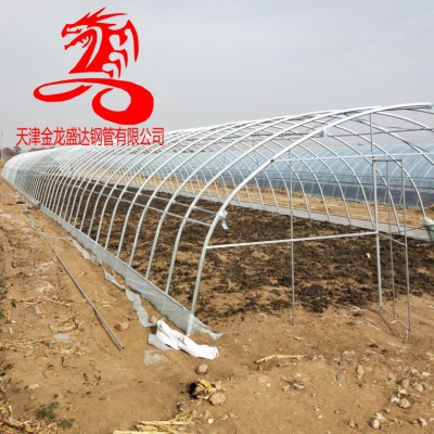 蔬菜大棚管-金龍鋼管-25*50橢圓管 冷棚骨架25*50鍍鋅橢圓管8米跨度大棚價(jià)格