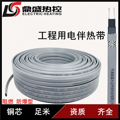 電伴熱帶  電伴熱   鼎盛興業(yè)