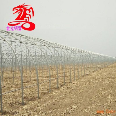 鍍鋅大棚管-金龍鋼管-連棟大棚管-6分1寸熱鍍鋅大棚管