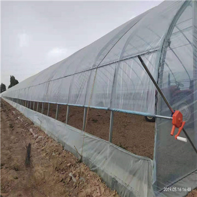 天津蔬菜棚 蔬菜棚廠家 蔬菜棚價格
