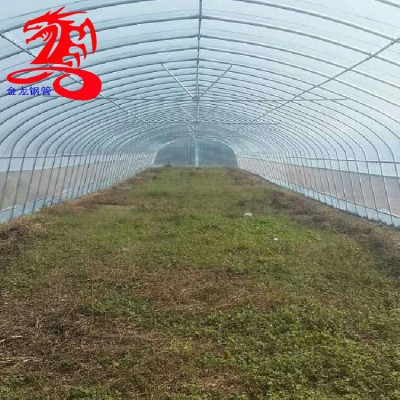 鍍鋅帶大棚管-金龍鋼管廠-4分6分1寸1.2寸大棚管