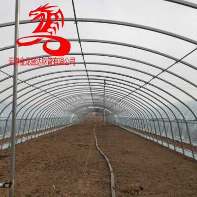 鍍鋅帶大棚管-金龍鋼管廠-鍍鋅帶橢圓管 大棚管