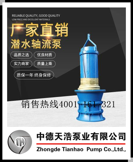 井筒式混流泵參數(shù)型號 臥式水泵廠家直銷 天津水泵廠