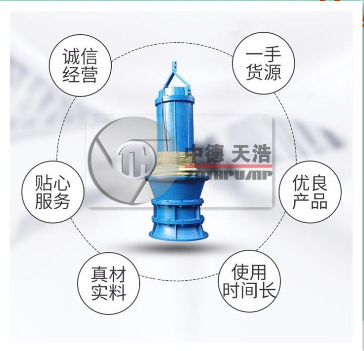 中德天浩泵業(yè)軸流泵廠家型號齊全