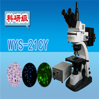熒光顯微鏡  科研級三目熒光顯微鏡WYS-21CY  顯微鏡