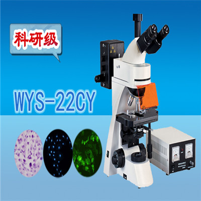 熒光顯微鏡  科研級三目熒光顯微鏡WYS-22CY  顯微鏡