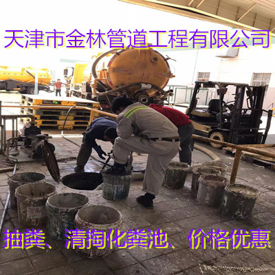 金林7