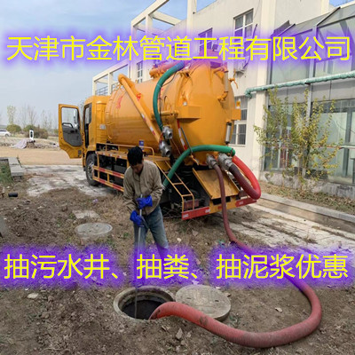 金林10