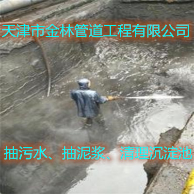 金林13