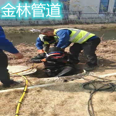 金林18