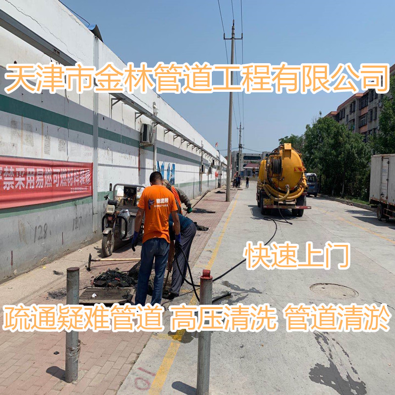 金林29