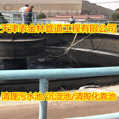 金林21