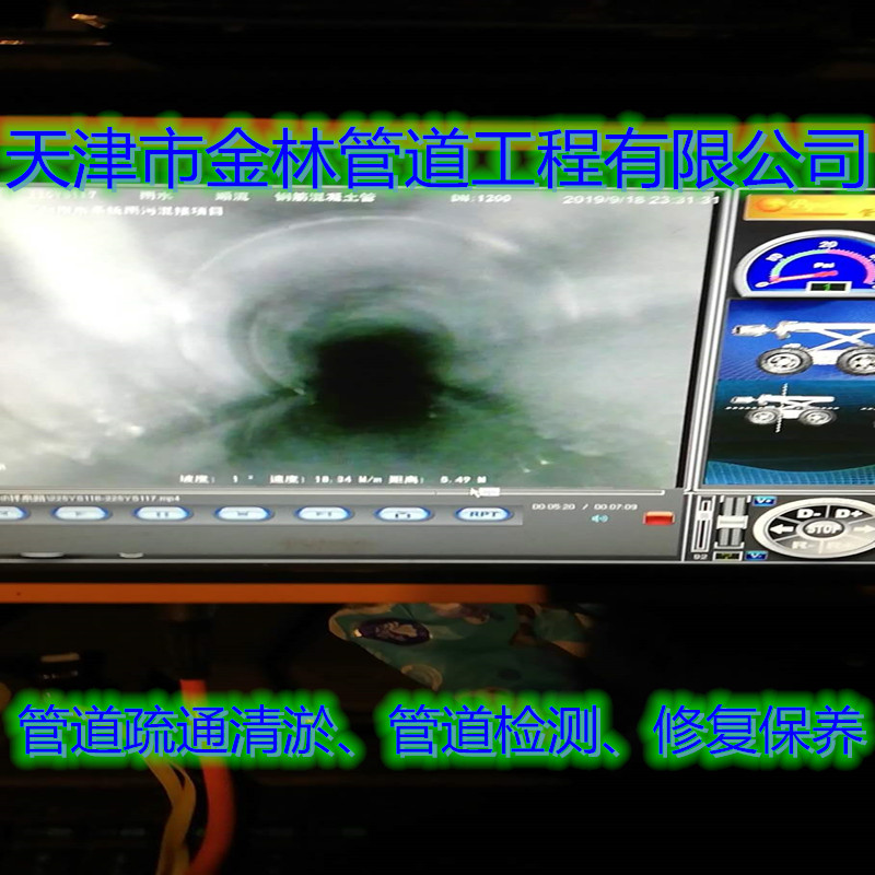 金林16大