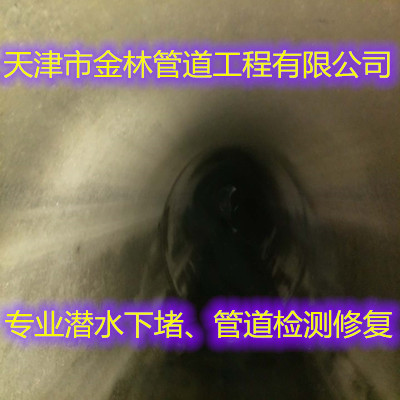 金林13