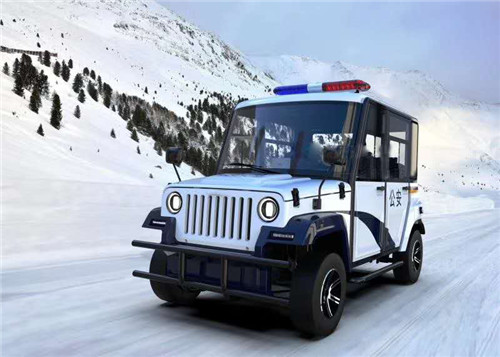 巡邏車6