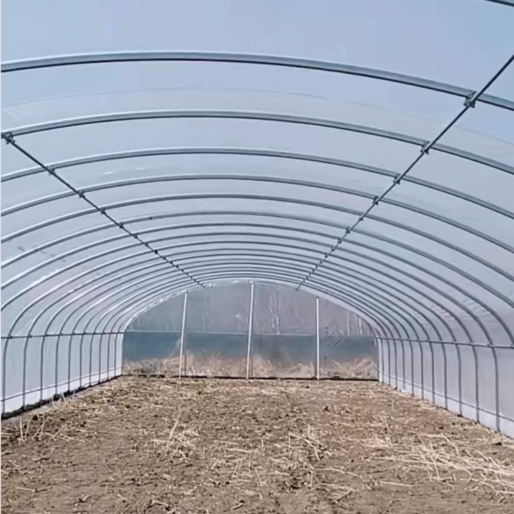 大棚鋼架 橢圓管大棚 菏澤曹縣大棚鋼架 蔬菜大棚管