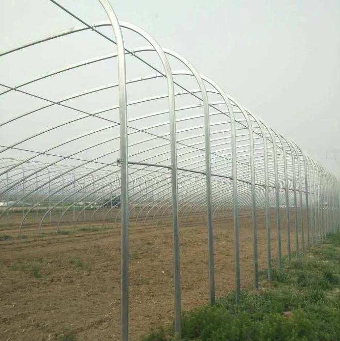 大棚鋼管 鍍鋅管大棚鋼架  橢圓管大棚